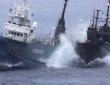 Incident naval. Un vas ecologist s-a ciocnit �l larg cu ambarca�iunea unor pescari de balene