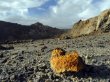 Gabriel Resources a majorat capitalul Ro�ia Montan� Gold Corporation cu 597,6 milioane lei