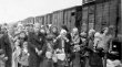 Supravie�uitori ai Holocaustului cer daune companiei feroviare na�ionale din Ungaria 