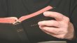 Biblia ciripit�: Un american va transpune Vechiul �i Noul Testament �n mesaje Twitter