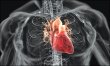 Cercet�torii rom�ni au descoperit un tip de celule care pot trata infarctul 