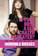 Horrible Bosses (2011) 