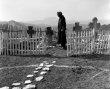 �Nunta de piatr�, dup� 40 de ani - un film-eveniment la TIFF 2012