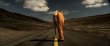 Competiția oficial� TIFF 2012 - o duzin� de filme, �ns� nici unul rom�nesc